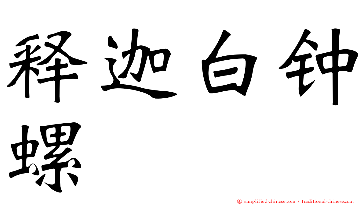 释迦白钟螺