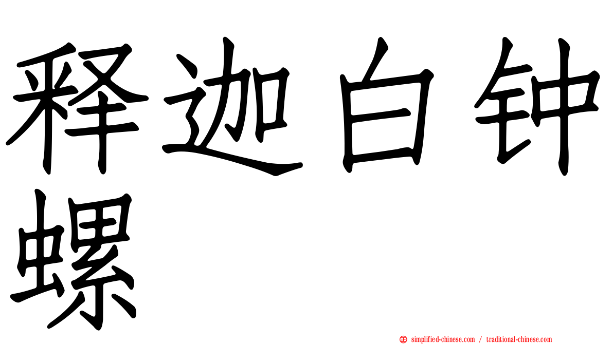 释迦白钟螺