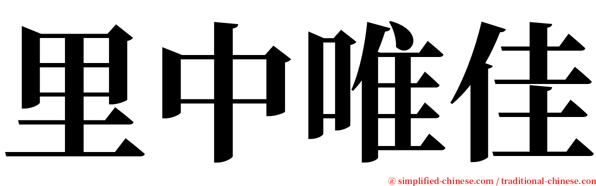 里中唯佳 serif font