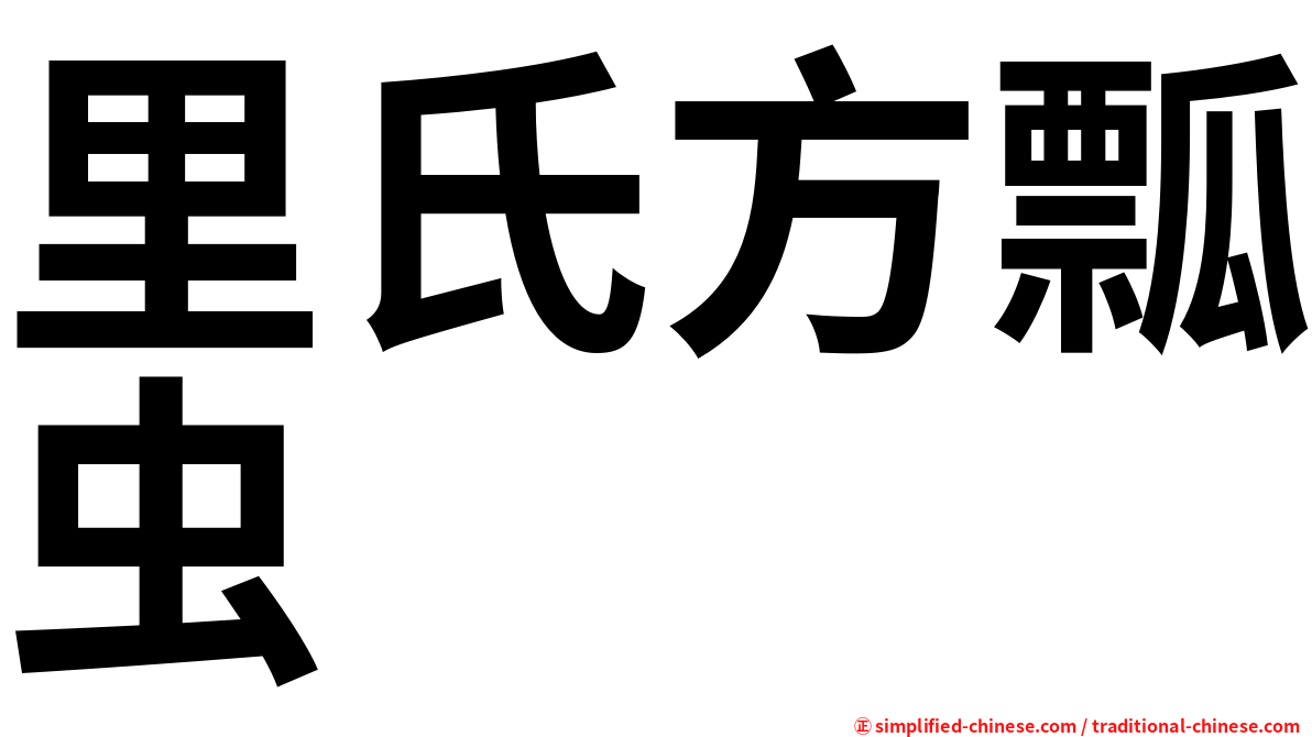里氏方瓢虫