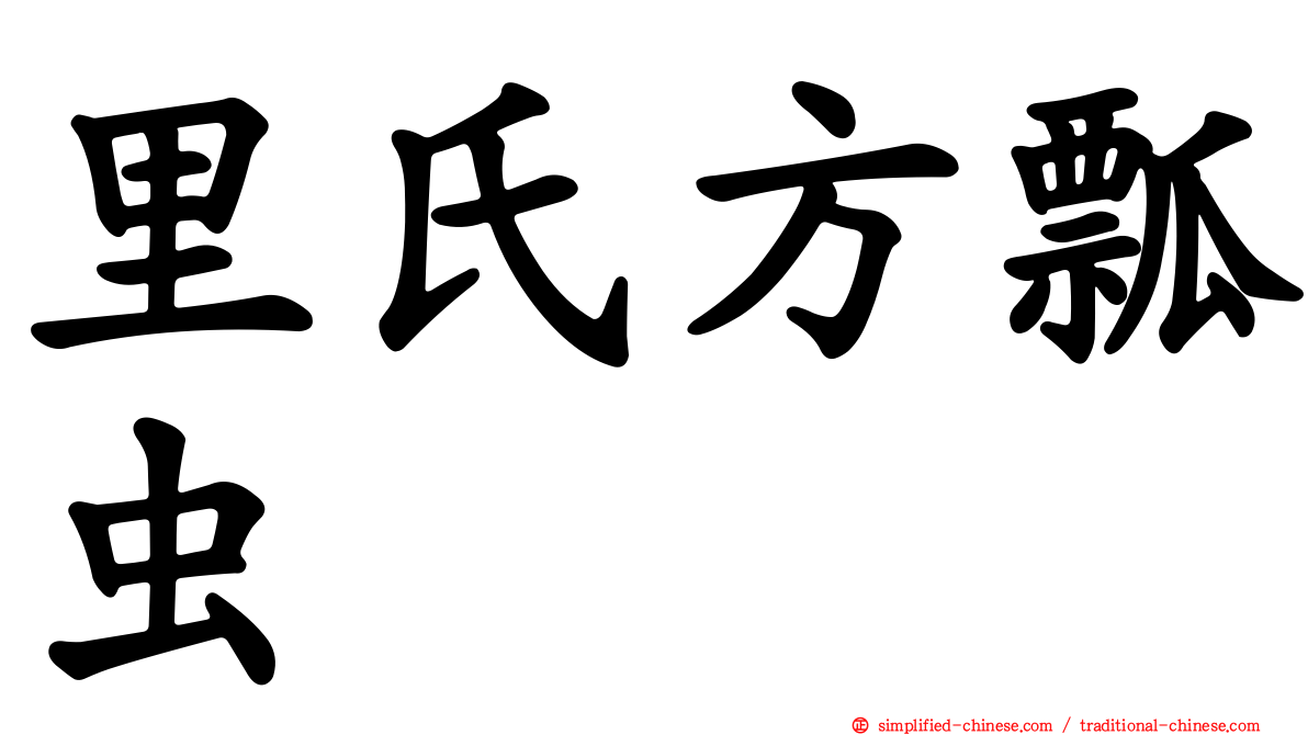 里氏方瓢虫