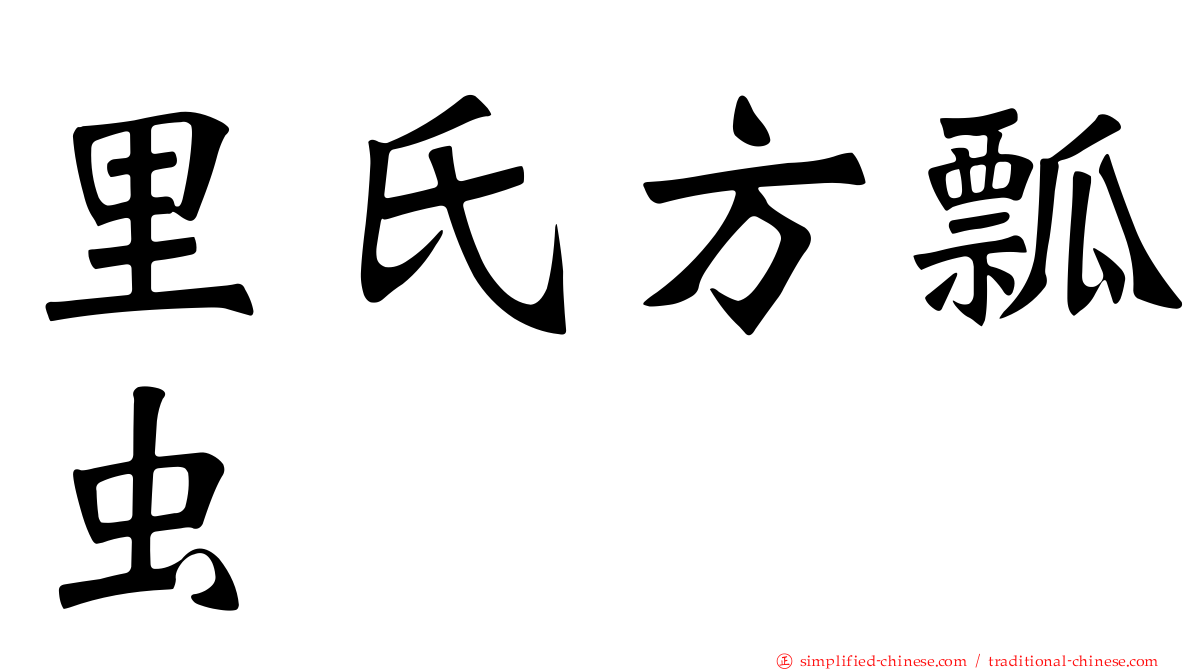 里氏方瓢虫