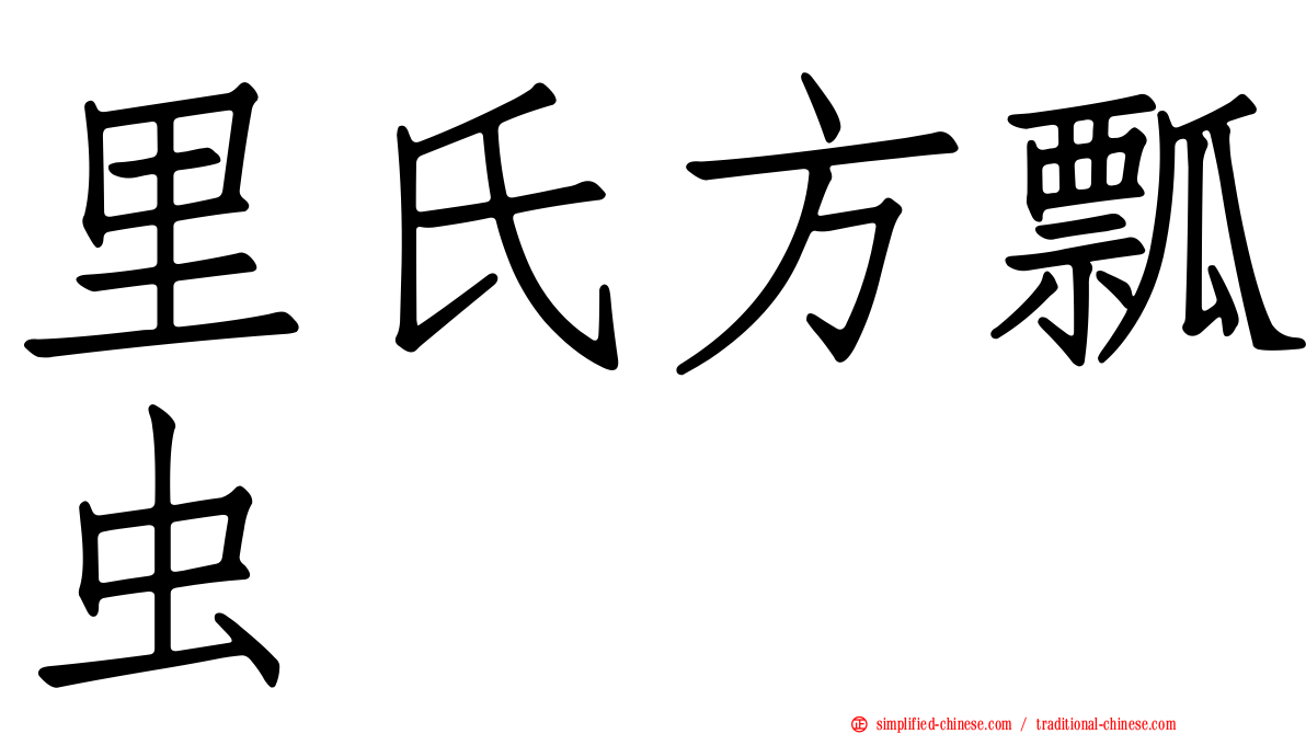 里氏方瓢虫