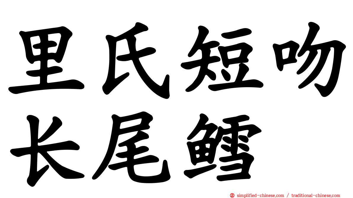 里氏短吻长尾鳕