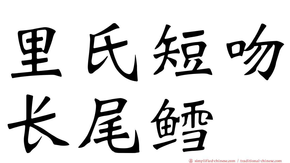 里氏短吻长尾鳕