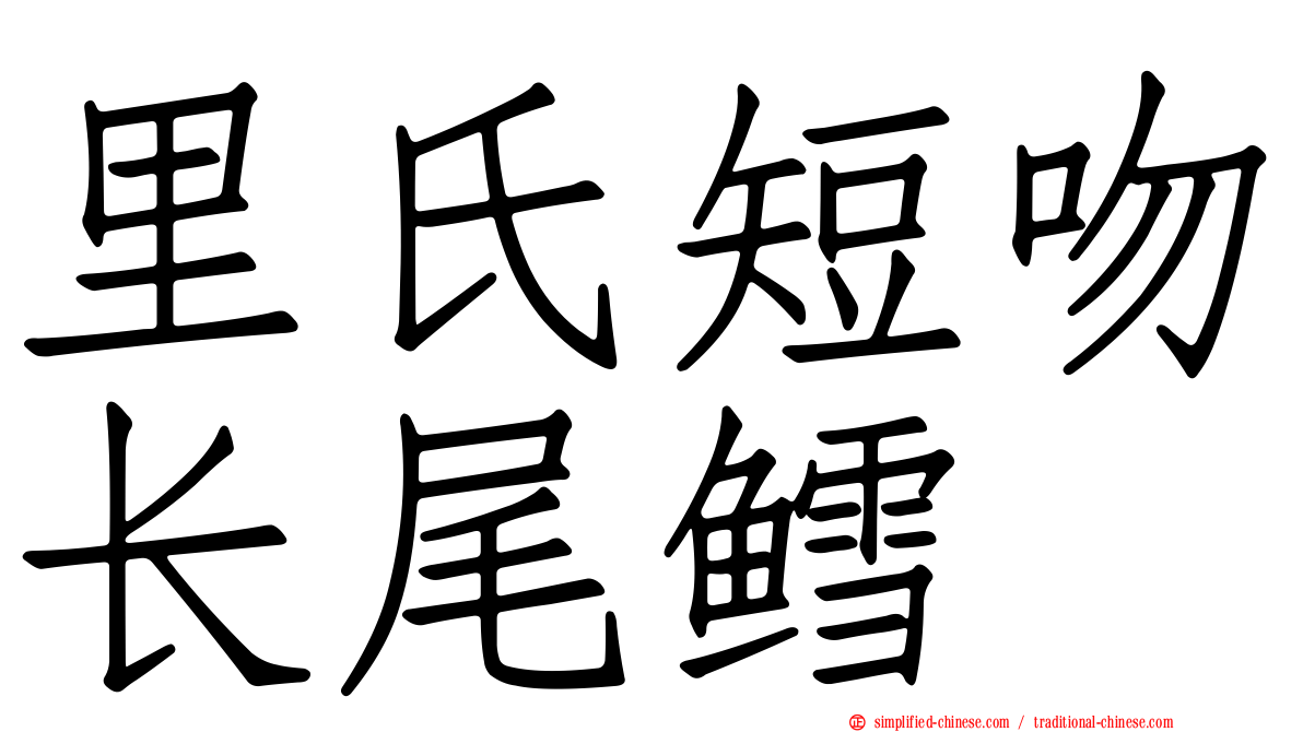 里氏短吻长尾鳕