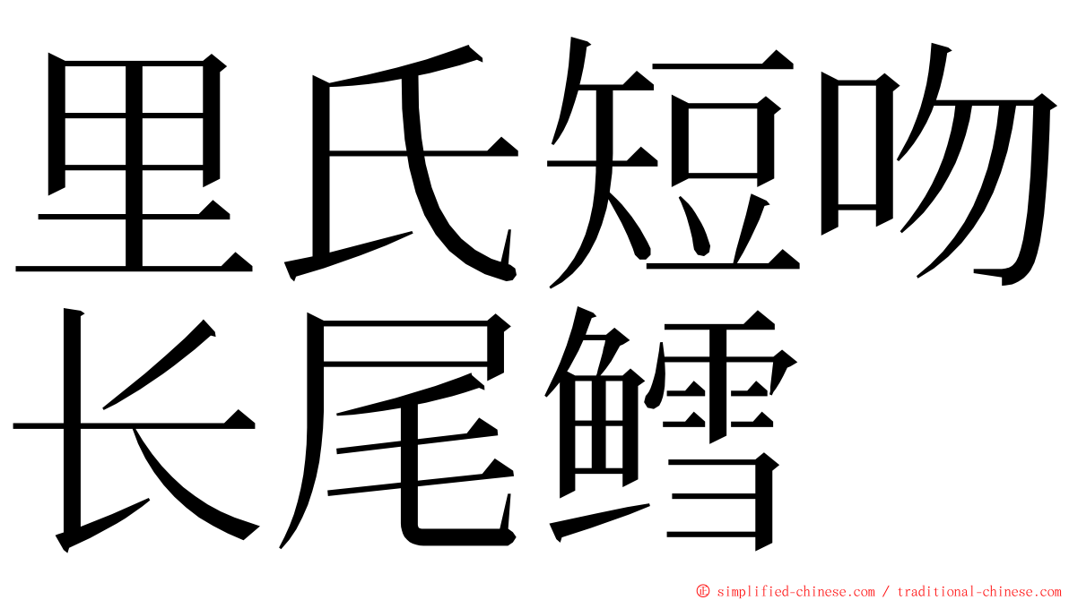 里氏短吻长尾鳕 ming font