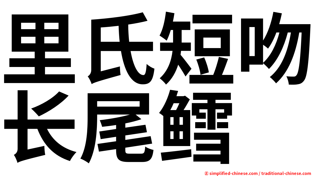 里氏短吻长尾鳕