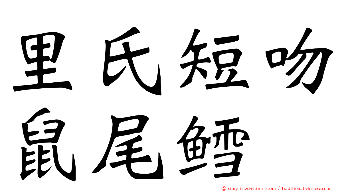 里氏短吻鼠尾鳕