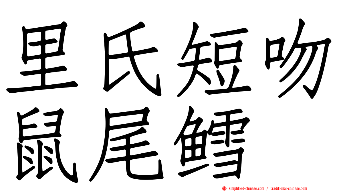 里氏短吻鼠尾鳕