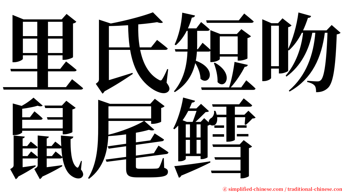 里氏短吻鼠尾鳕 serif font