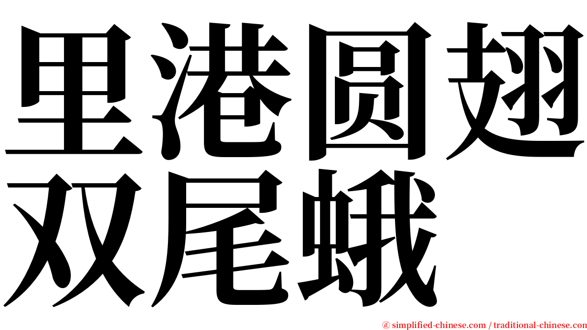 里港圆翅双尾蛾 serif font