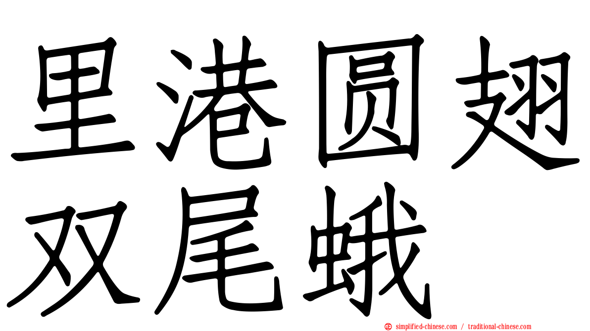 里港圆翅双尾蛾