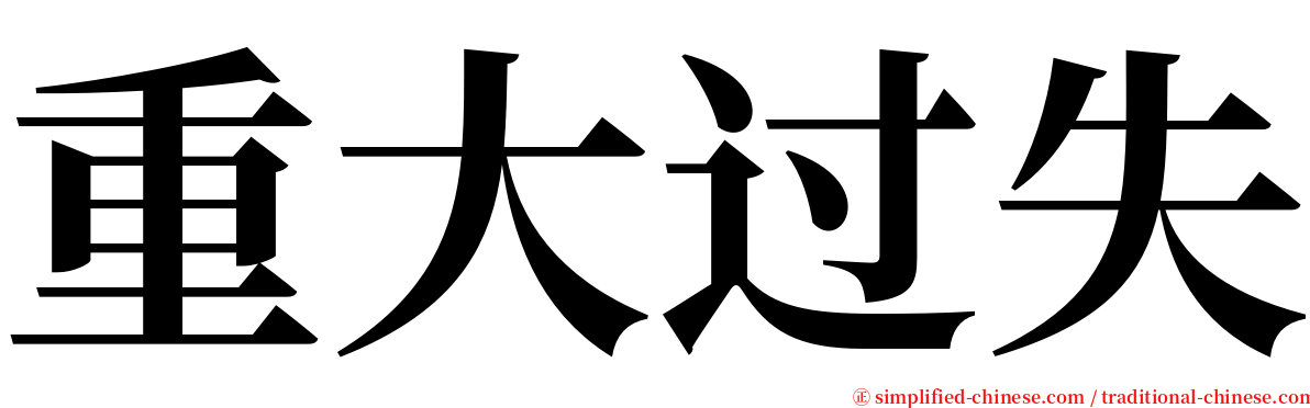 重大过失 serif font
