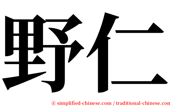 野仁 serif font