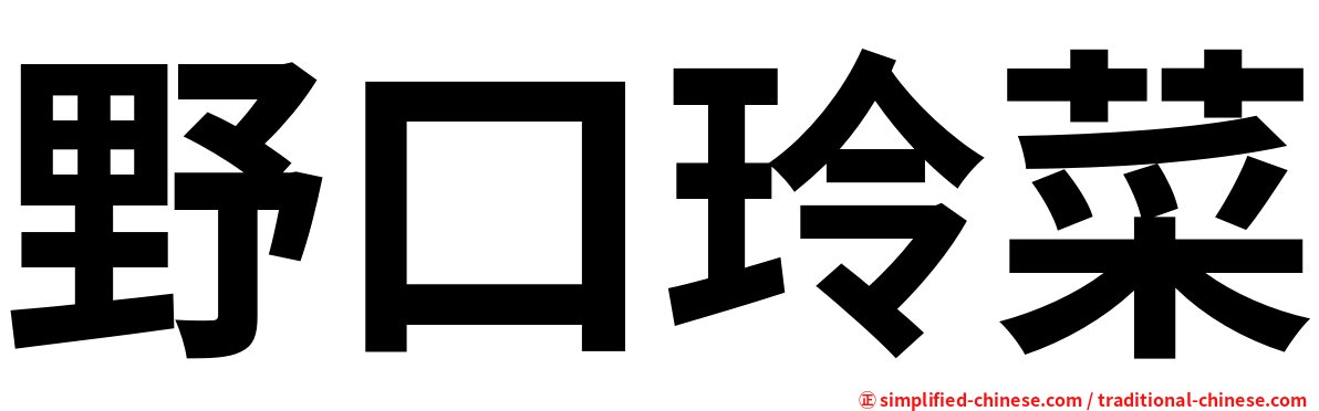 野口玲菜