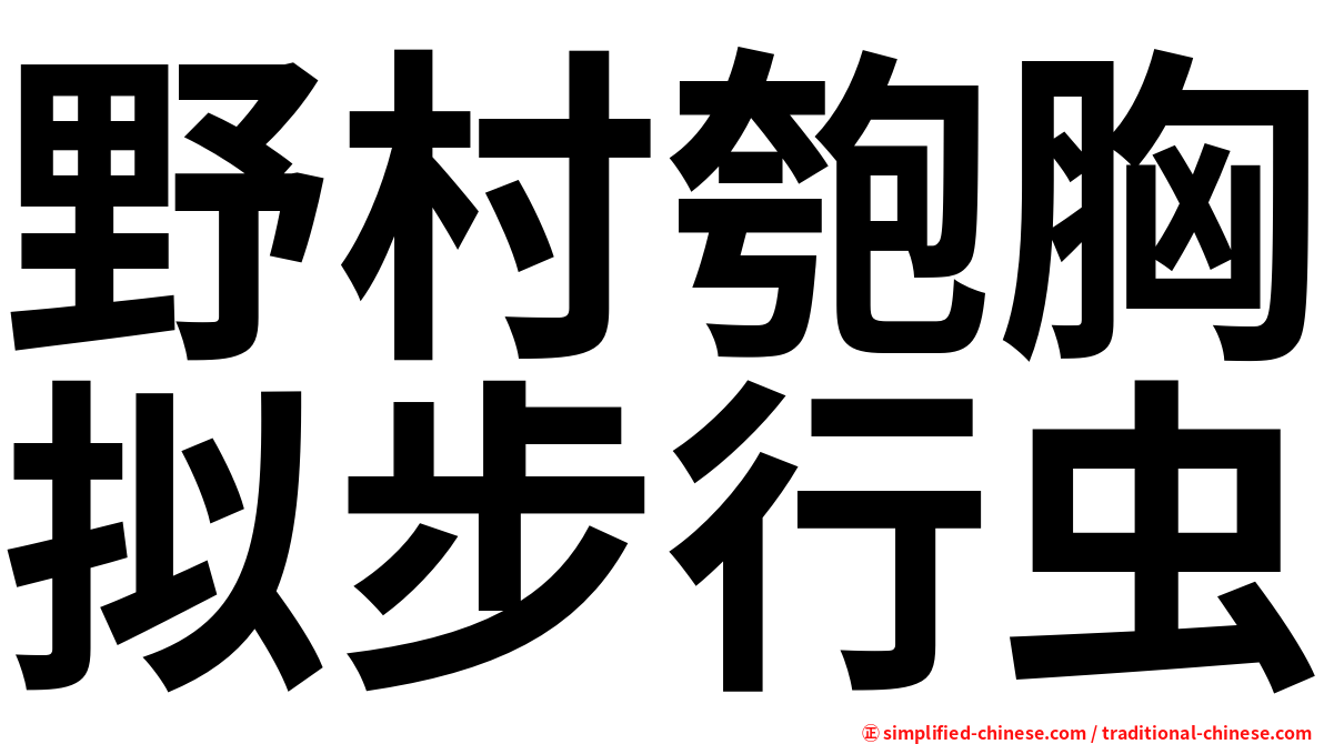 野村匏胸拟步行虫