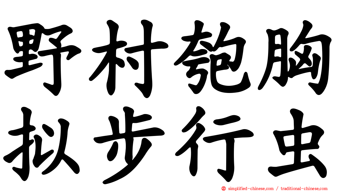 野村匏胸拟步行虫