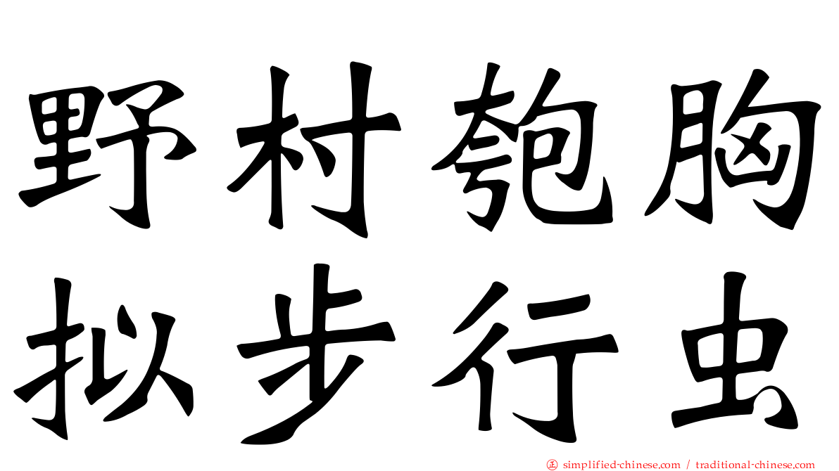 野村匏胸拟步行虫