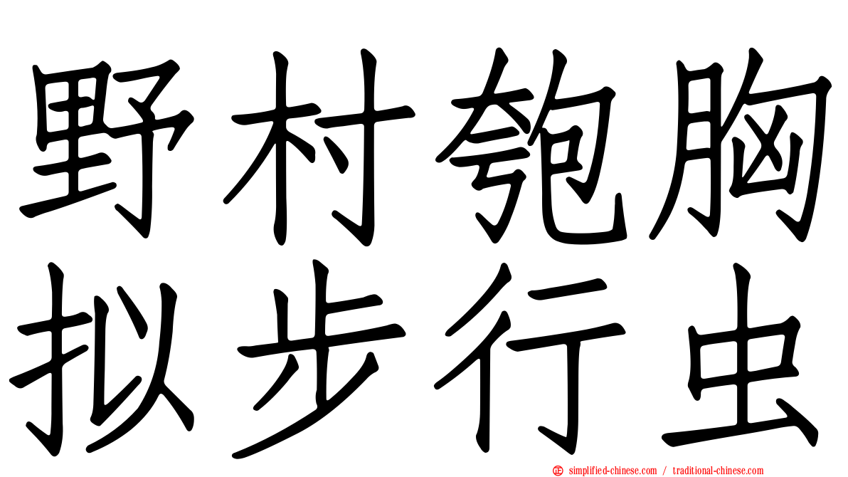 野村匏胸拟步行虫