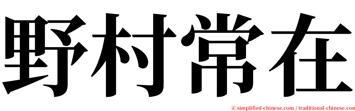 野村常在 serif font