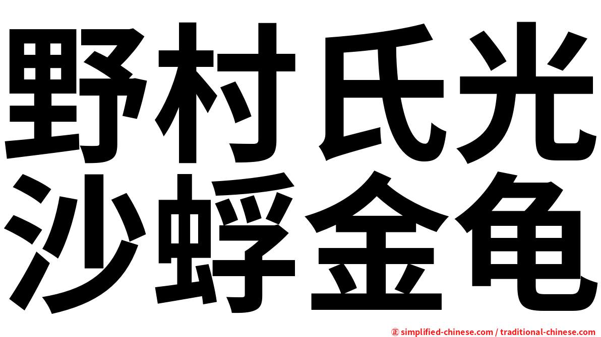 野村氏光沙蜉金龟