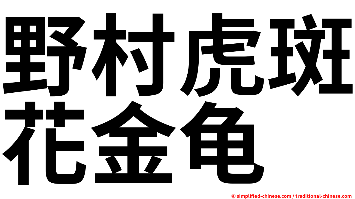 野村虎斑花金龟