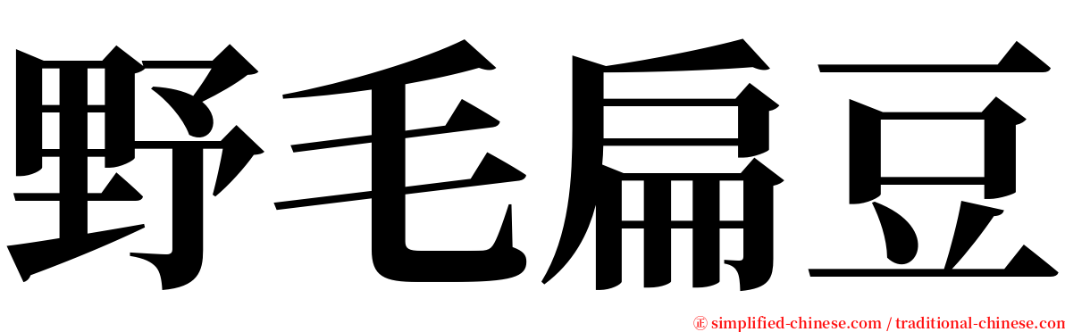 野毛扁豆 serif font