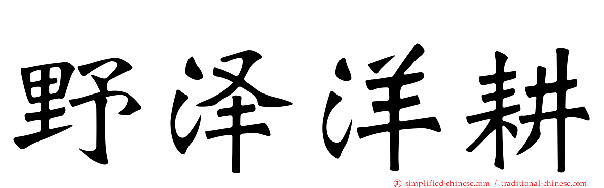 野泽洋耕