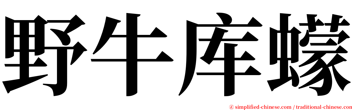 野牛库蠓 serif font