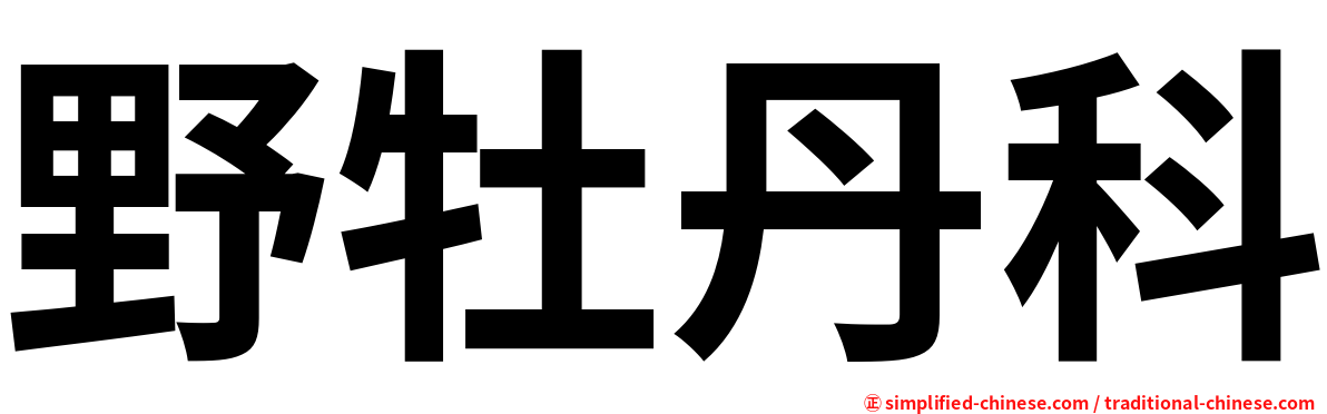 野牡丹科