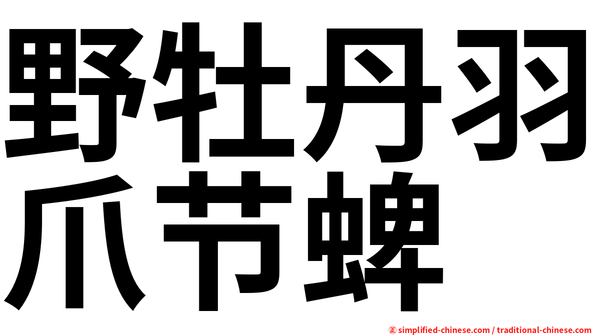 野牡丹羽爪节蜱