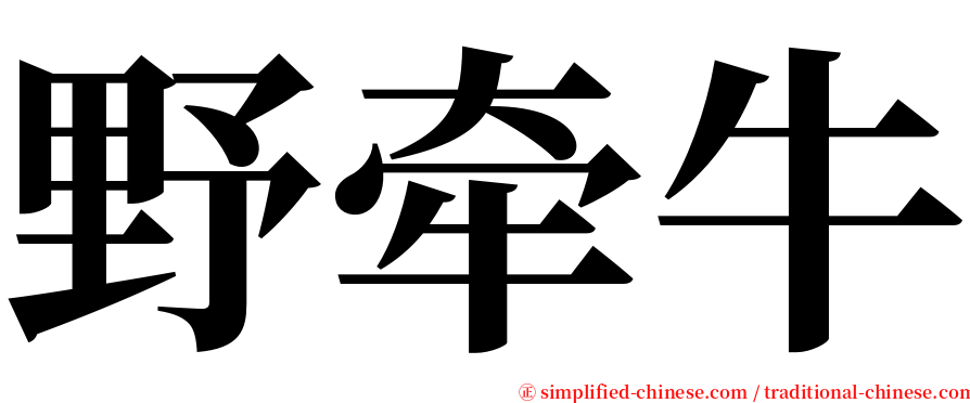 野牵牛 serif font