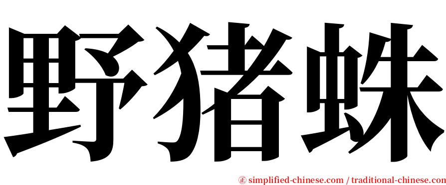 野猪蛛 serif font