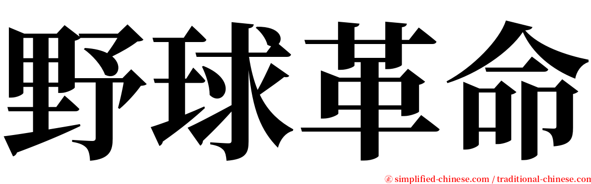 野球革命 serif font