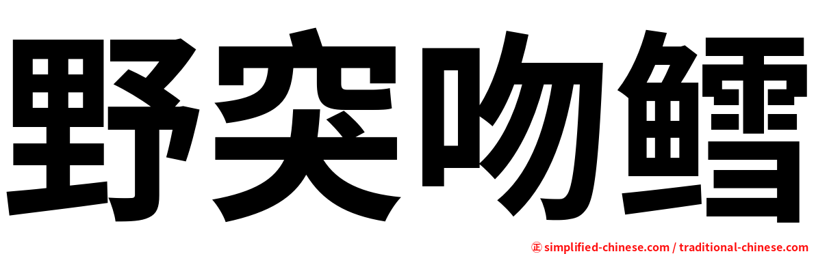 野突吻鳕