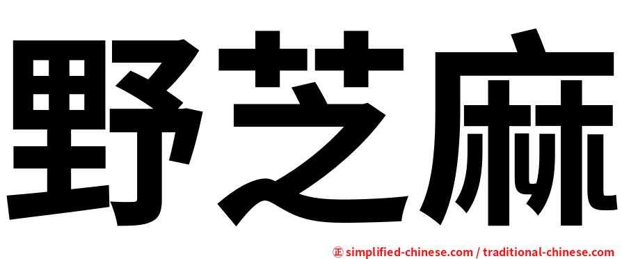 野芝麻