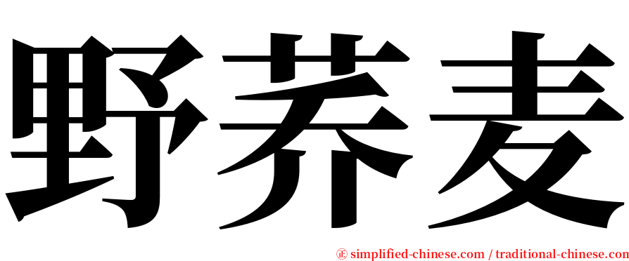 野荞麦 serif font