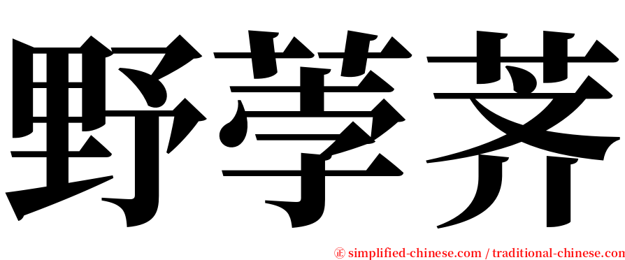 野荸荠 serif font