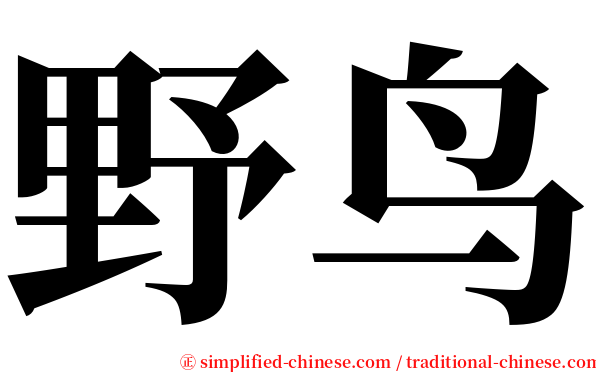 野鸟 serif font