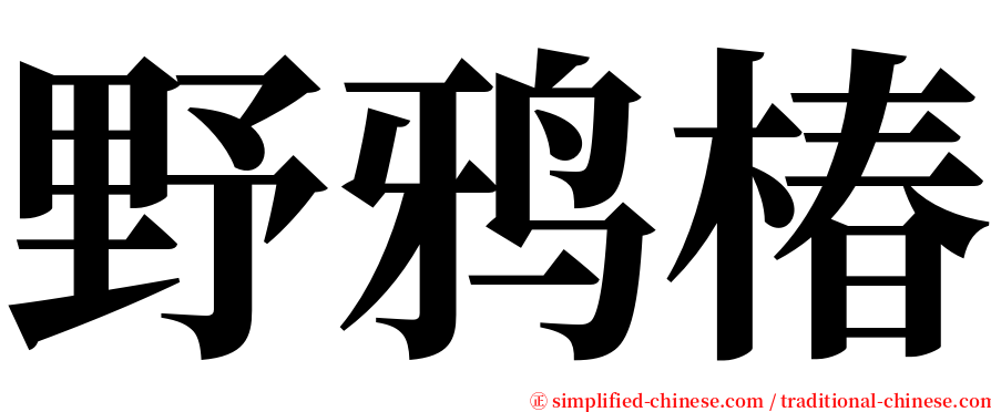 野鸦椿 serif font