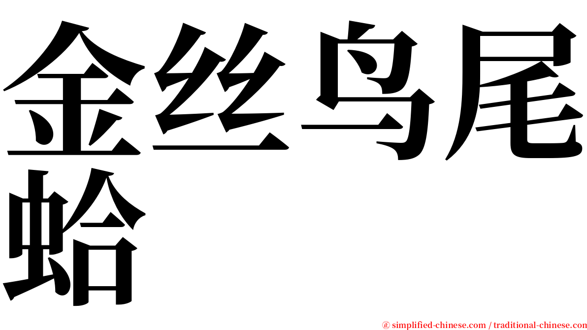 金丝鸟尾蛤 serif font