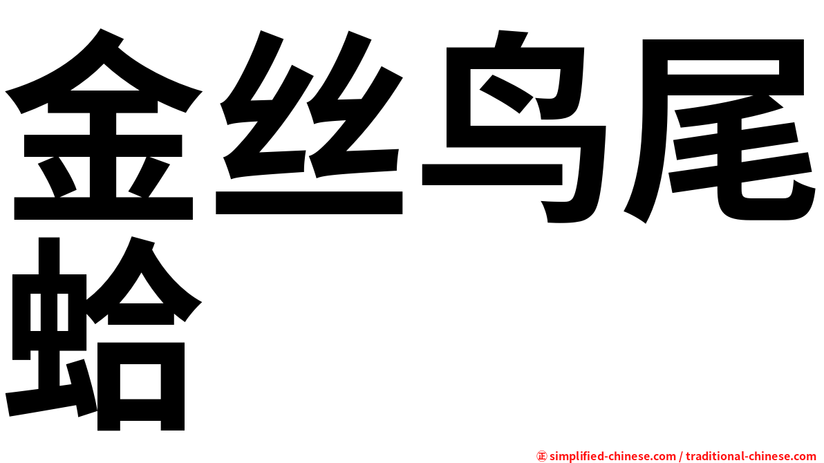 金丝鸟尾蛤