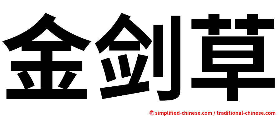 金剑草