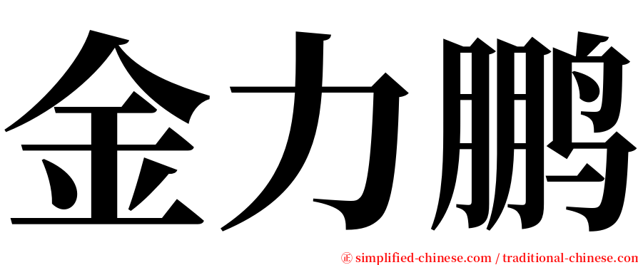 金力鹏 serif font