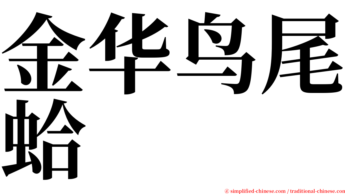 金华鸟尾蛤 serif font