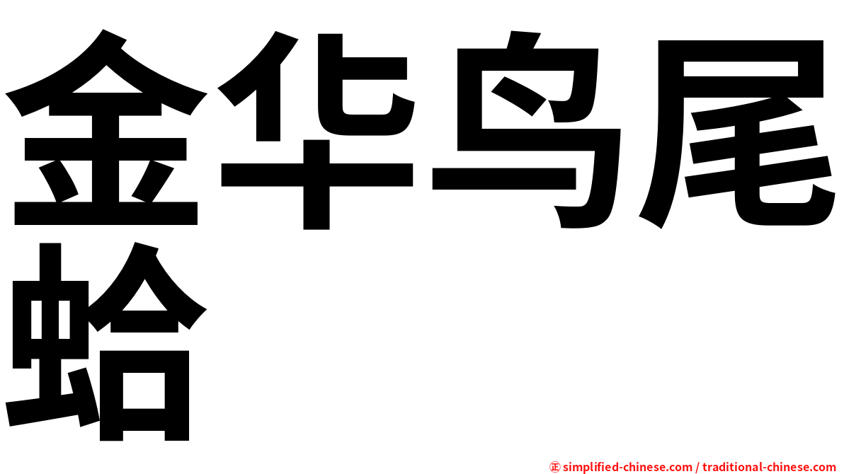 金华鸟尾蛤