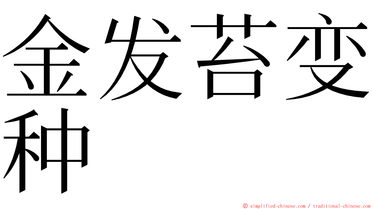 金发苔变种 ming font