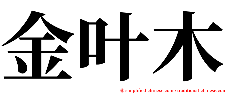 金叶木 serif font