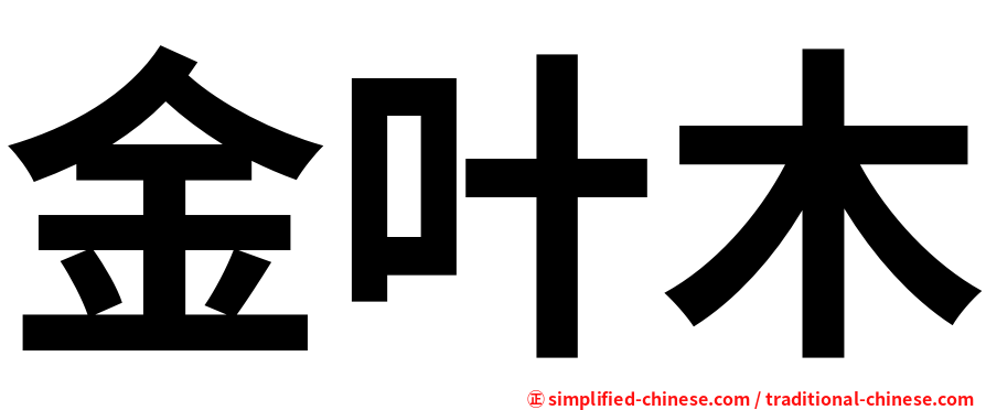 金叶木